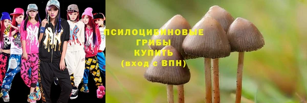 шишки Семилуки