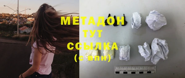 гидра Михайловка