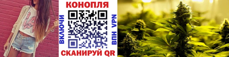 Канабис индика  как найти закладки  OMG рабочий сайт  Ленинградская 